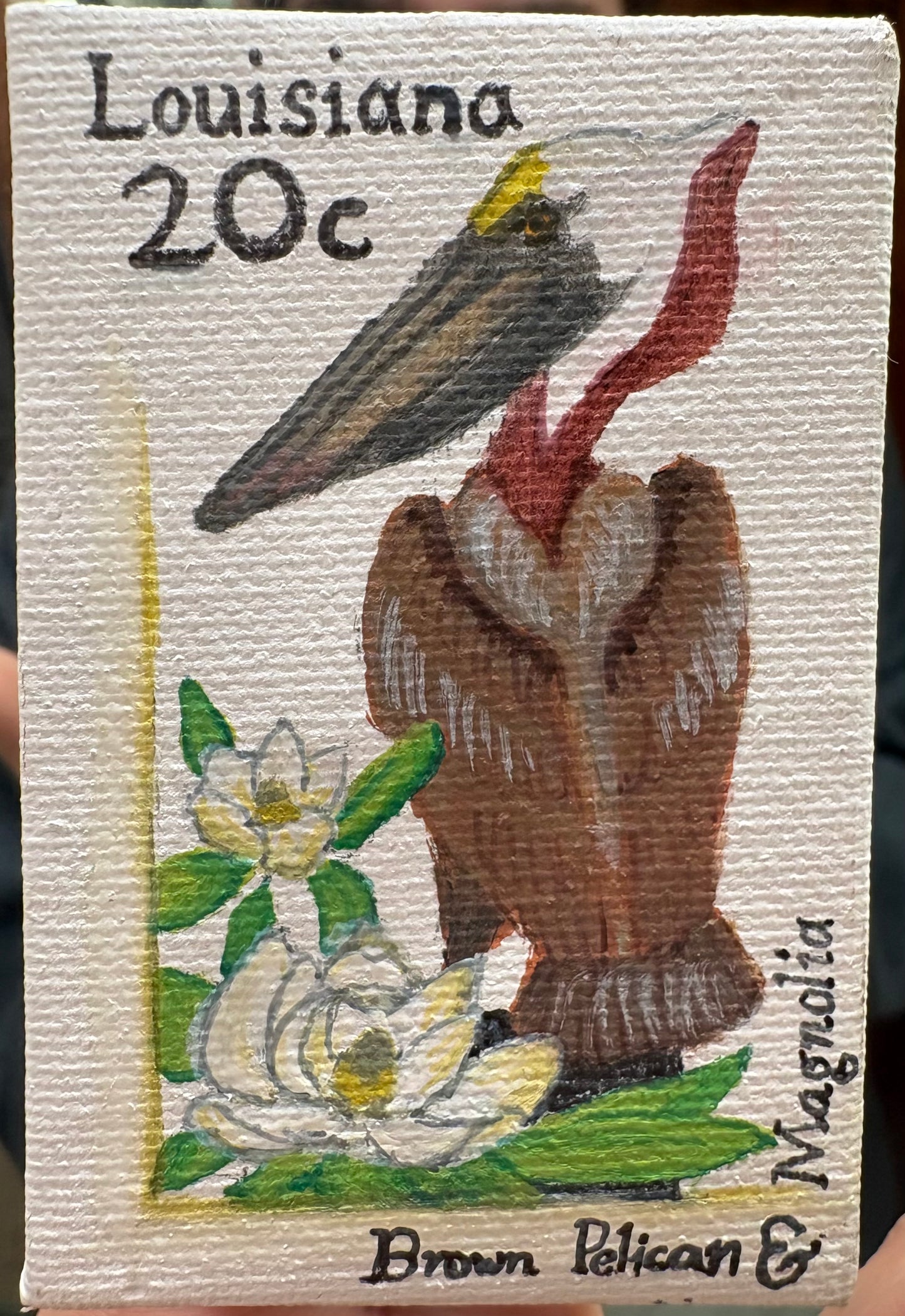 Pelican
